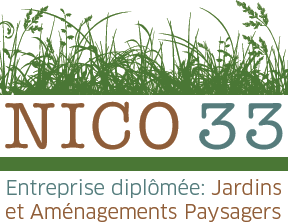 NICO 33